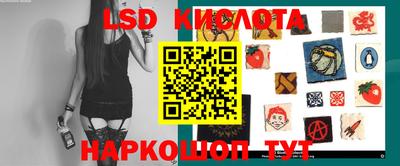 apvp Владимир