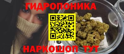 apvp Владимир