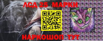 мдпв Владивосток