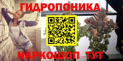 apvp Владимир