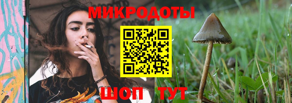 Асино  Галлюциногенные грибы мухоморы  купить   Вход с VPN 